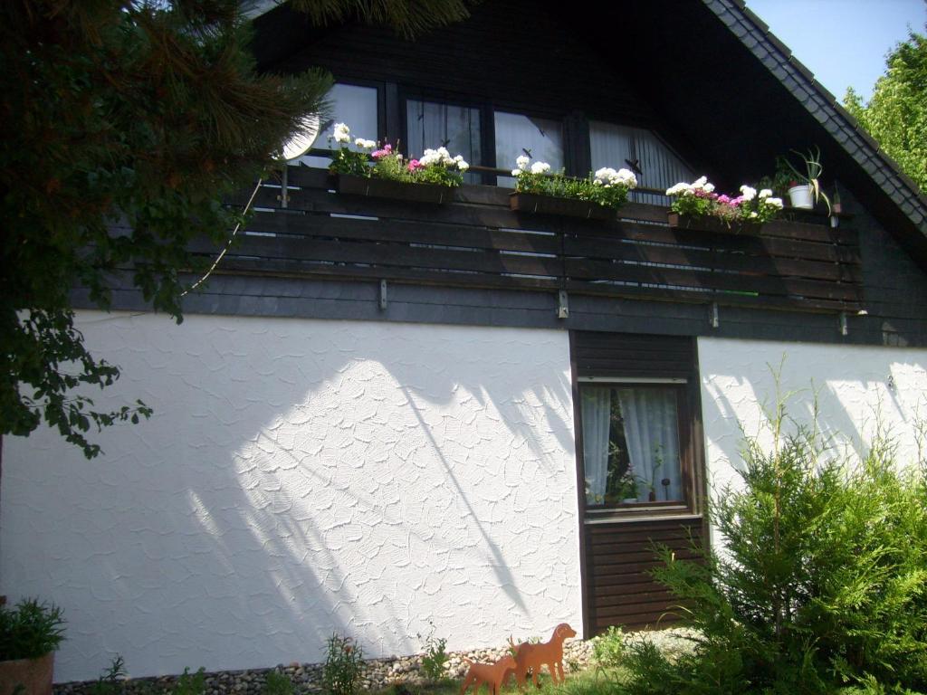Apartment Adam Bechenheim Rom bilde